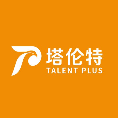 广东塔伦特咨询 信息系统集成服务的专业力量